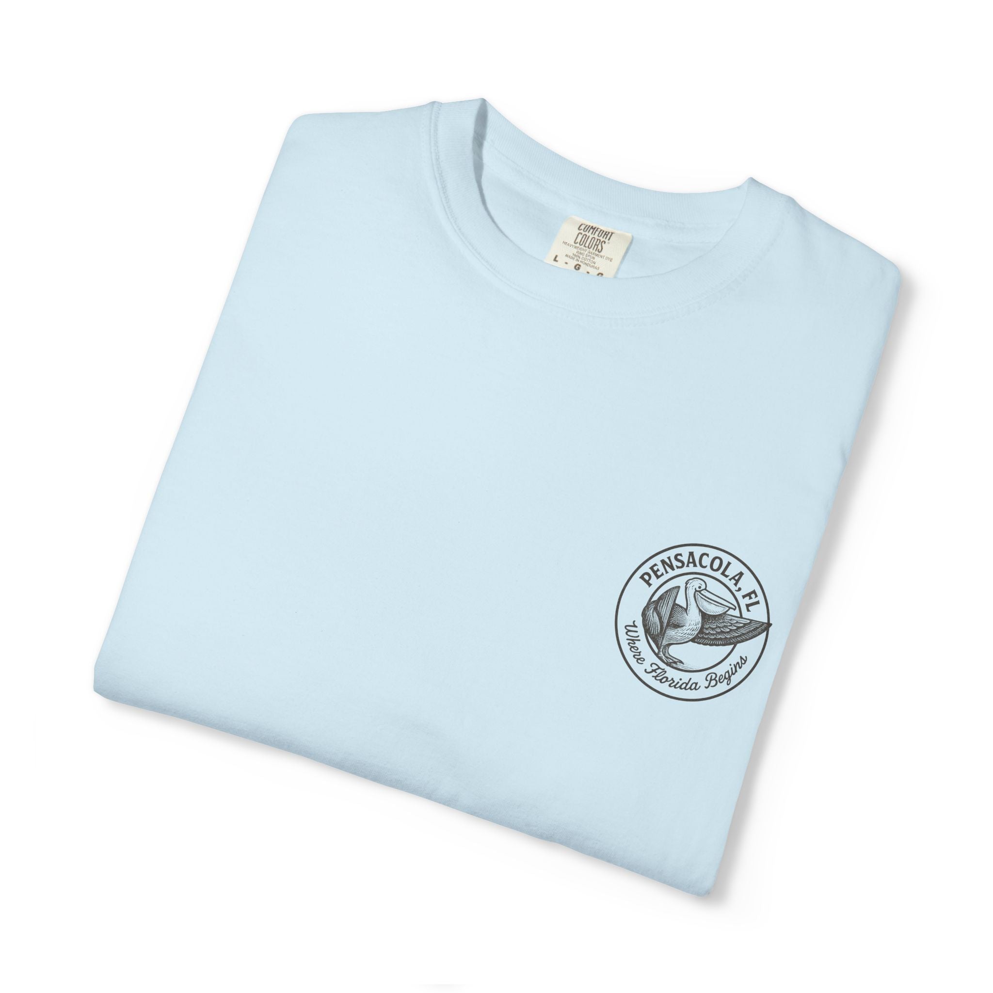 Vintage Pensacola Florida Pelican Shirt – "Where Florida Begins" Retro Coastal Graphic Tee, Hand-Drawn Beach Design